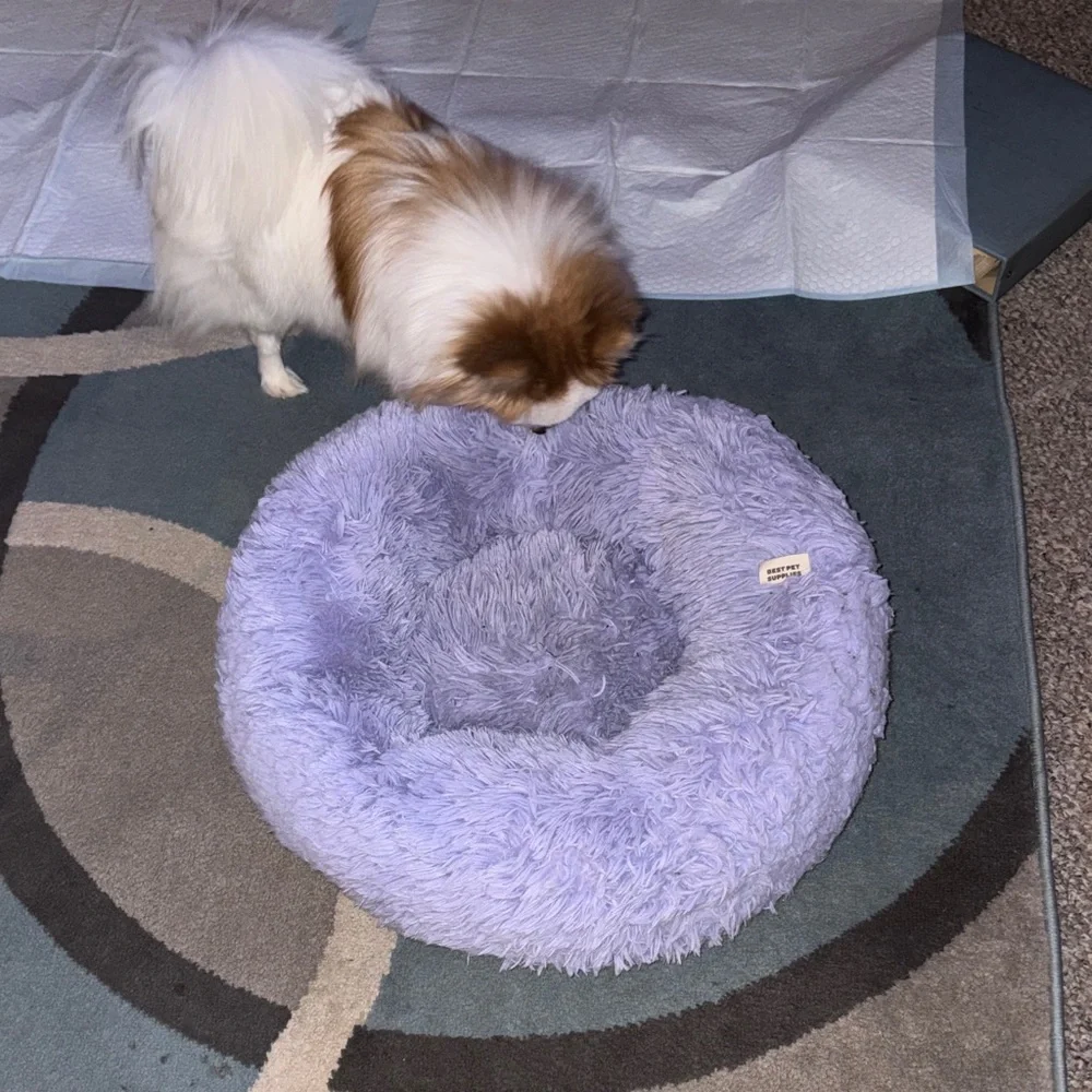 Fluffy Purple Pet Bed